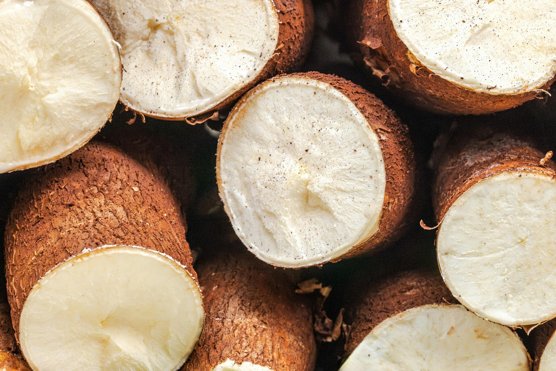 Native and Modified Tapioca Starch